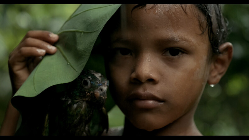 ENVIRONMENTAL Festival - Best of SHORT FILMS Event