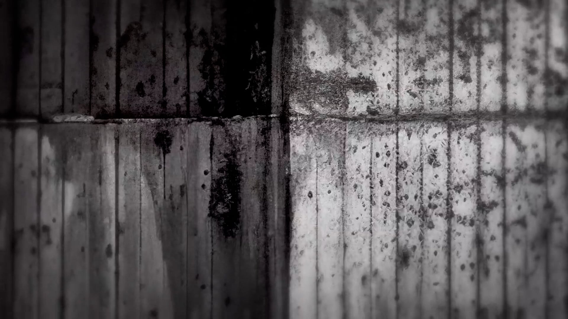  FRAGILE film, reactions Experimental/Dance/Music Festival (interview)