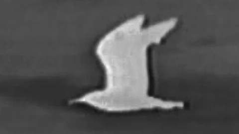 EXPERIMENTAL/FASHION FESTIVAL - Best ...