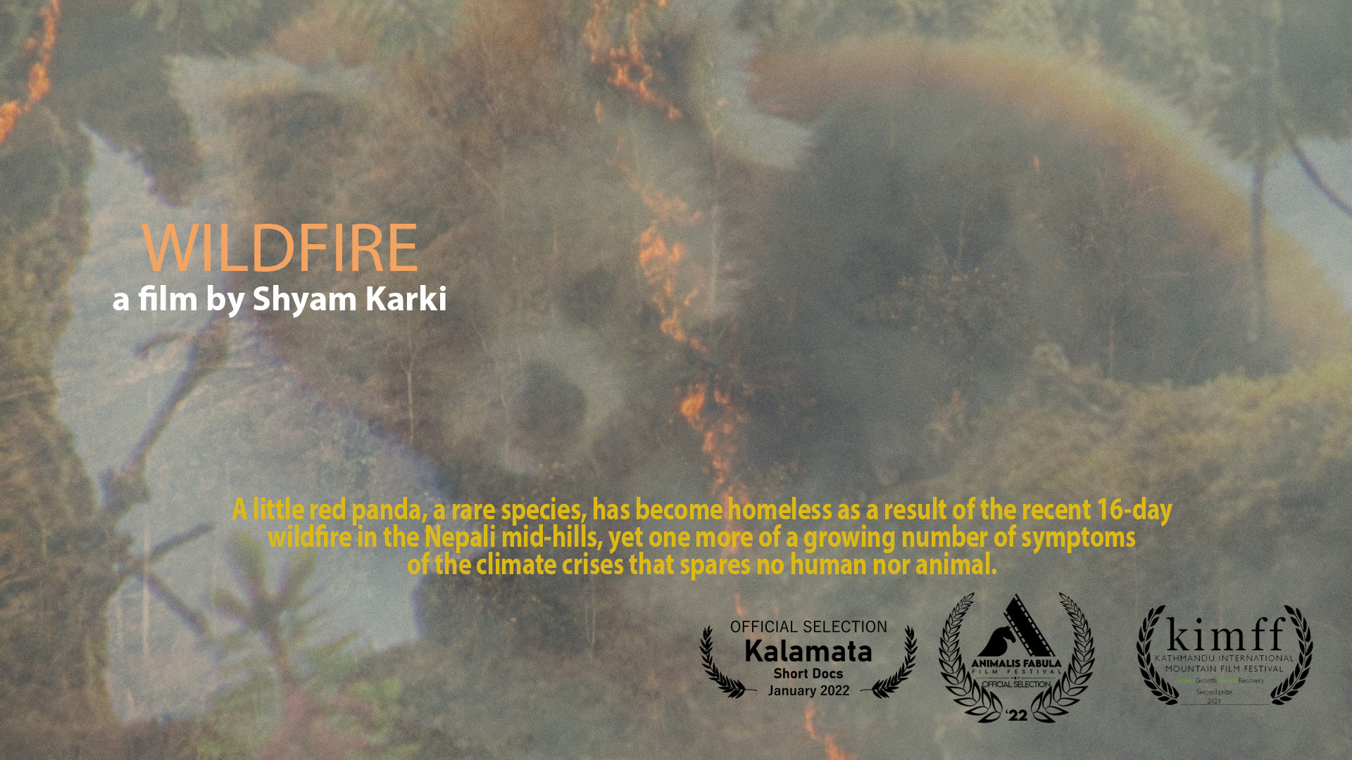 WILDFIRE, 10min,. Nepal, Documentary/Environmental