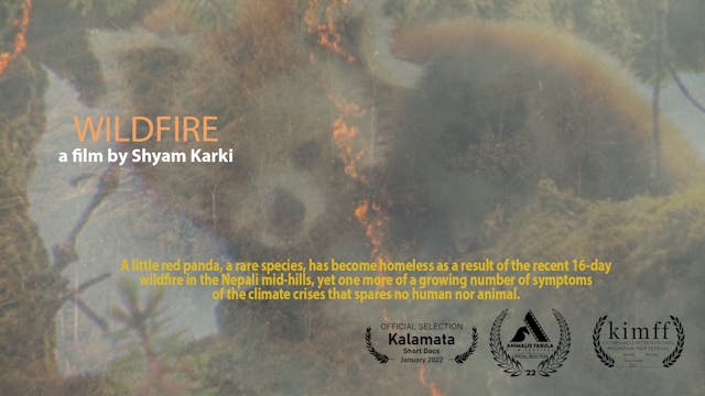 WILDFIRE, 10min,. Nepal, Documentary/...