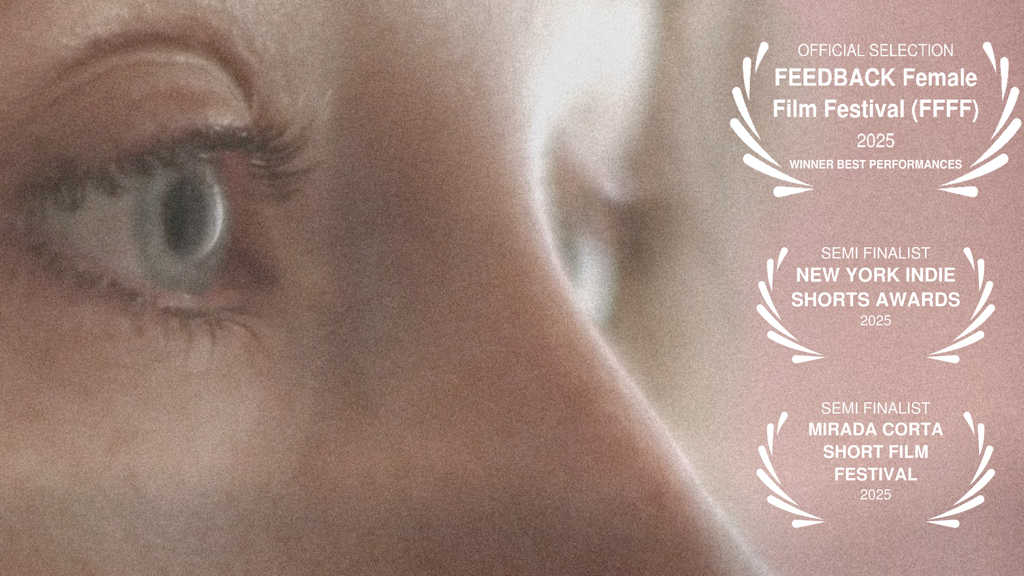 Watch Today's Festival: CHICAGO Festival Shorts Festival.