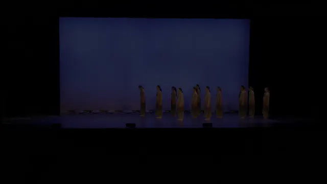 207 - Yellow