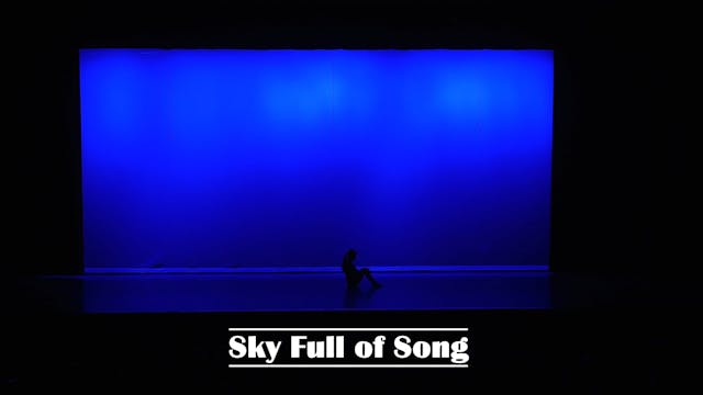 16 - Sky Full of Song