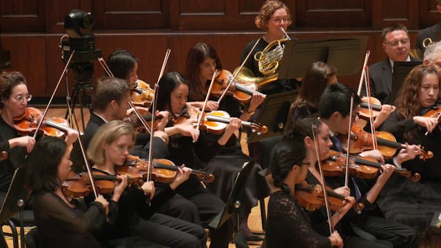 Happy Birthday Beethoven