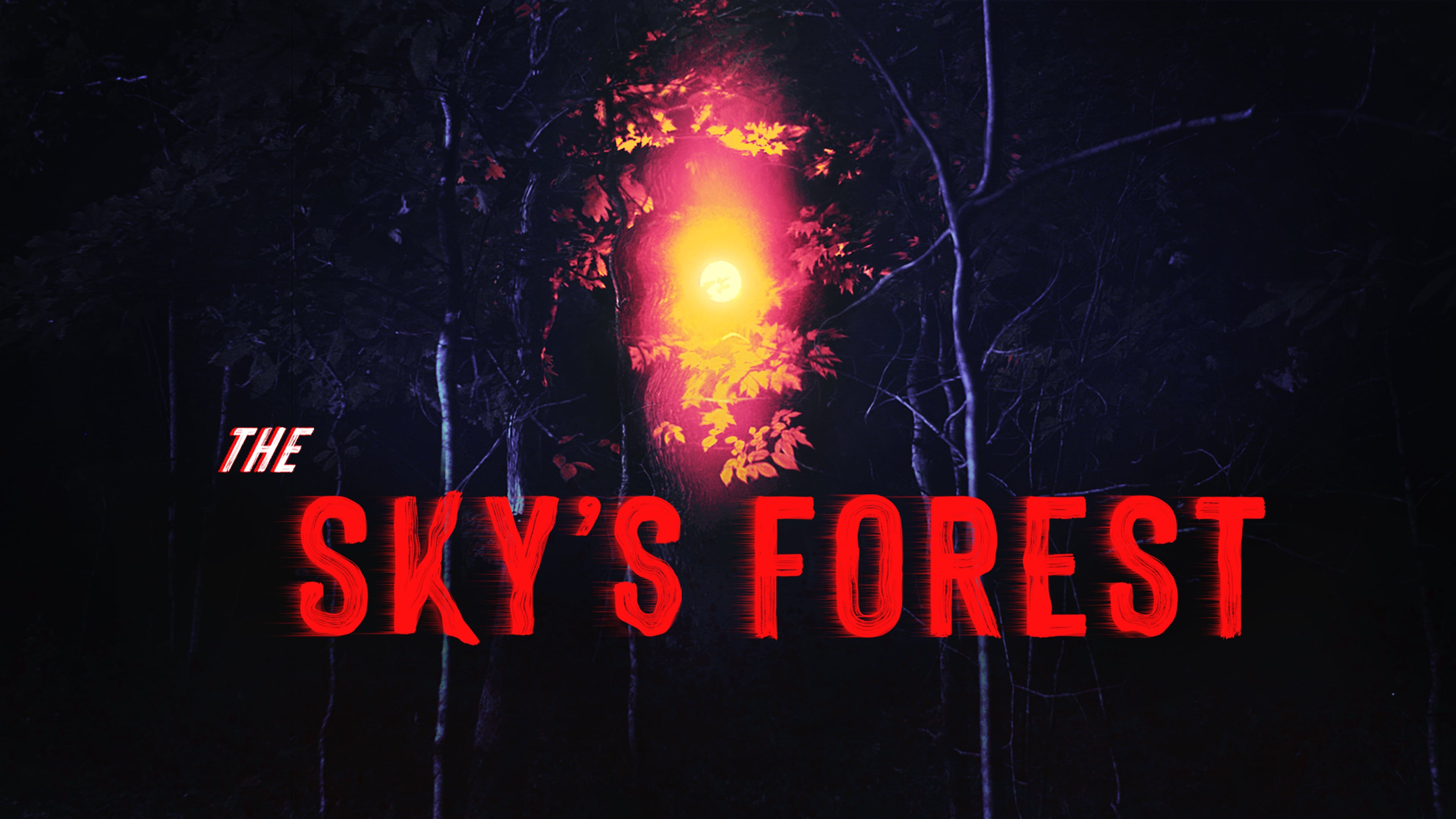 "The Sky's Forest" - Feature Film