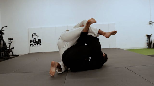 Entry 2 from Tarantula Demo