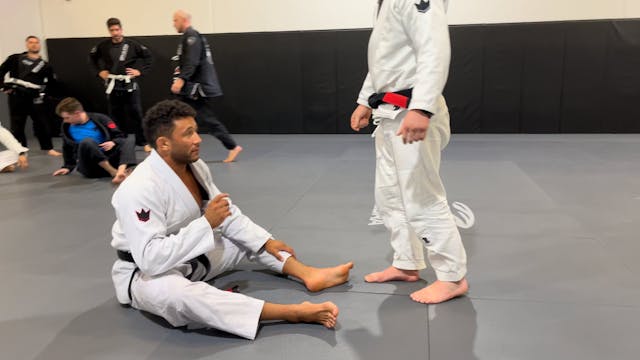 Laser Guard Triangle Details