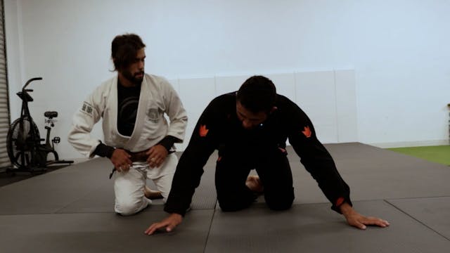 Entry from Tarantula Breakdown
