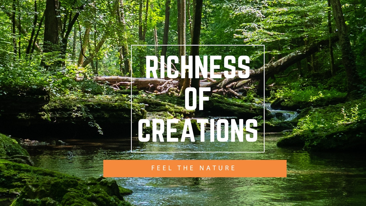 Richness of Creations