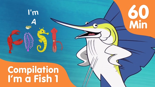 I'm a Fish Compilation - Sailfish