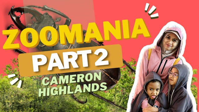 Cameron Highland Part 2 | Hassan & Hu...