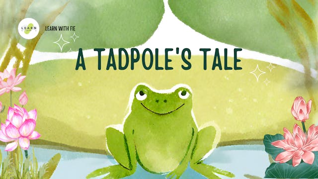 A Tadpole's Tale | Learn with Fie 