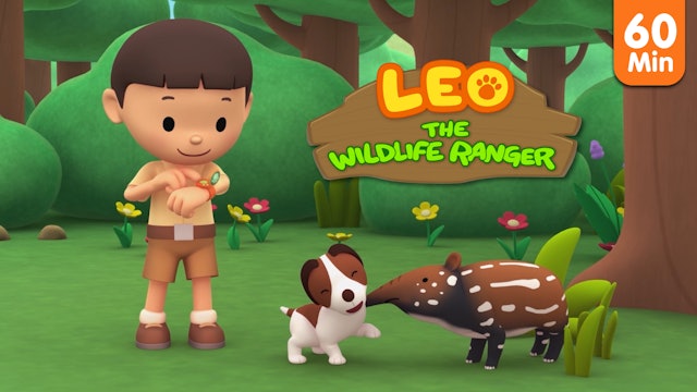 Leo The Wildlife Ranger Compilation - Malayan Tapir