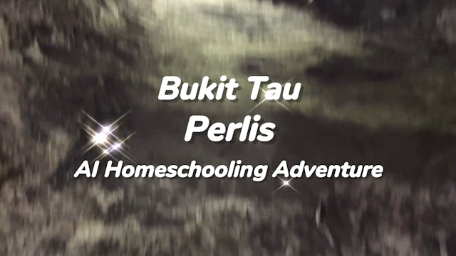 Exploring Bukit Tau, Perlis | AI Home...