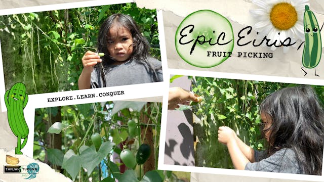 Fruit Picking - Epic Eiris | Tanjak &...
