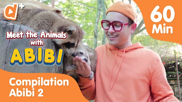 Meet the Animals with Abibi Compilation