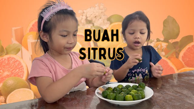 Buah Sitrus | Vlog Sains Cikebum