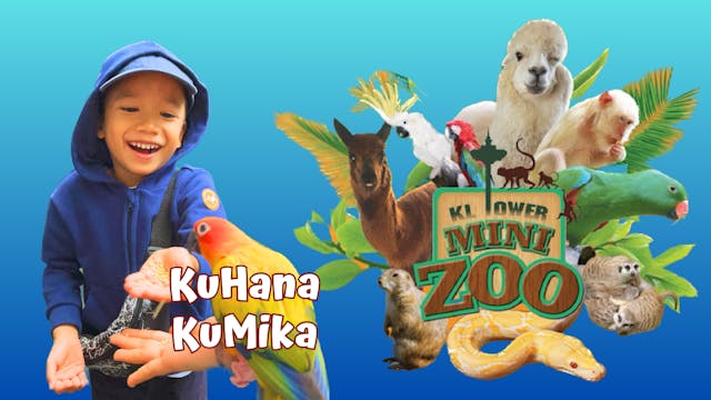 Mini Zoo Menara Kuala Lumpur - Cuti |...