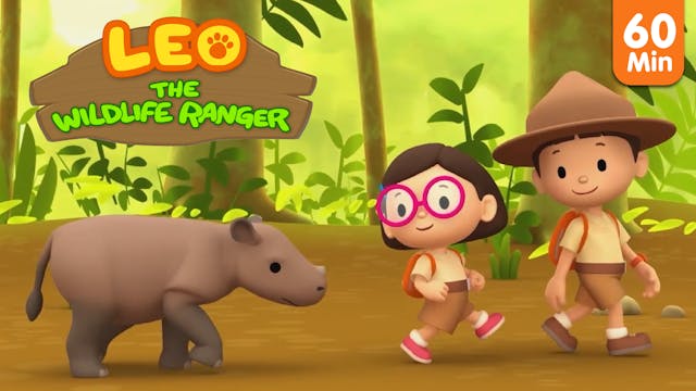 Kompilasi Leo the Wildlife Ranger - B...