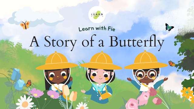 A Story Of A Butterfly | Learn with Fie