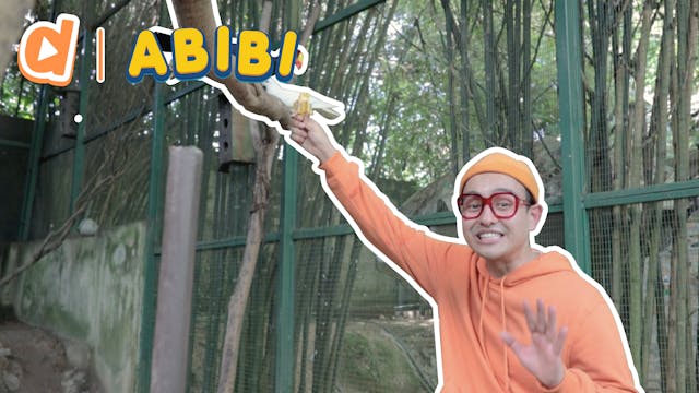 Abibi In Bird Paradise | Abibi Animal...