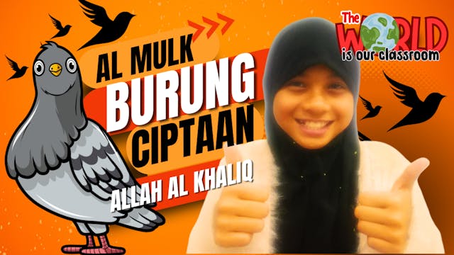 Al-Mulk dan Burung | Our Classroom