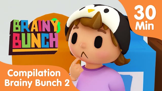 Brainy Bunch Series Compilation - Bei...