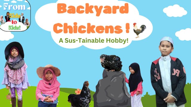 Backyard Chickens! A Sus-Tainable Hob...