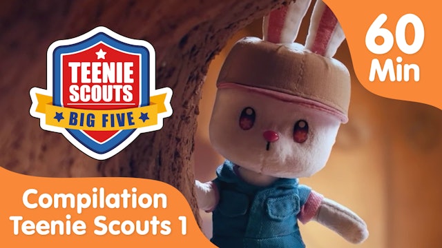 Teenie Scouts Big Five Compilation - Dig For Glory
