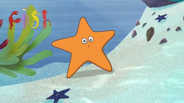 I'm a Starfish