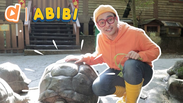 Abibi Explores The Tortoise Farm