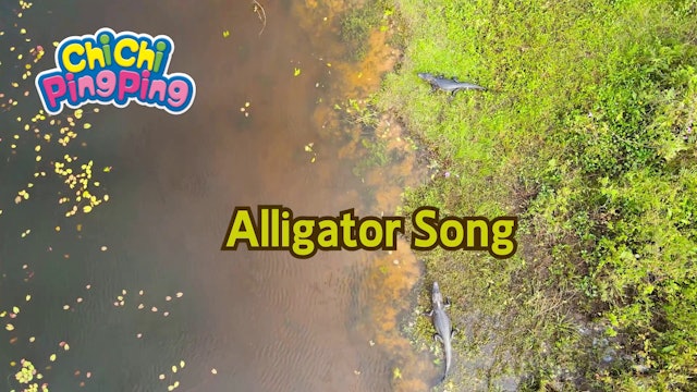 Alligator Song | ChiChi PingPing Songs (ENG)