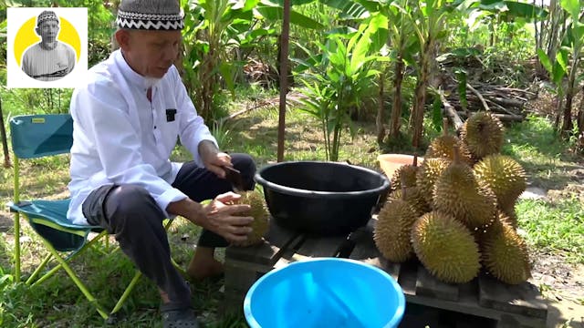 Bubur Kacang Hijau Durian Untuk Anak ...