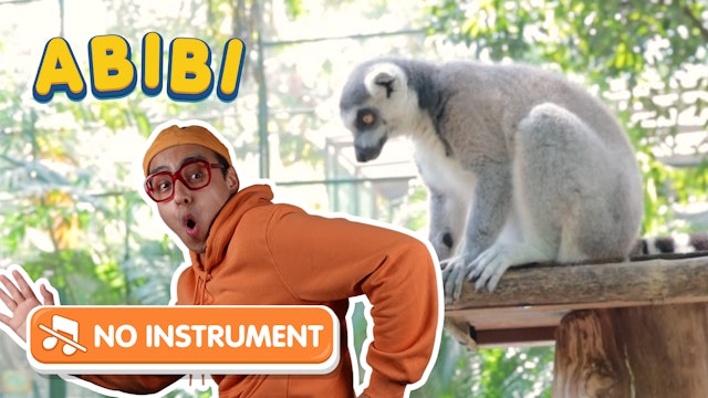 Abibi & Buddy, The Ring-Tailed Lemur! - No Instrument