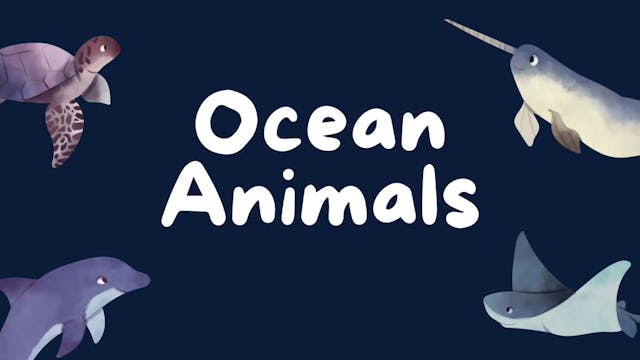 Ocean Animals | Learn with Fie