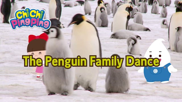 The Penguin Family Dance | ChiChi Pin...
