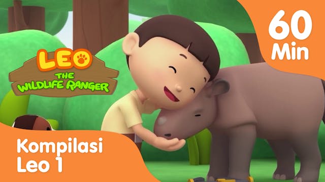 Kompilasi Leo the Wildlife Ranger - B...