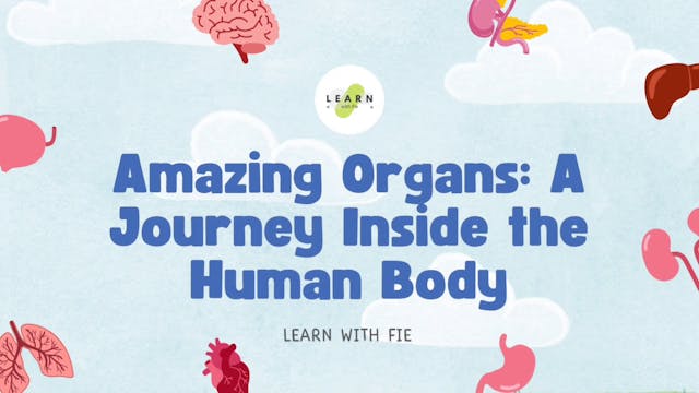 Amazing Organs: A Journey Inside The ...