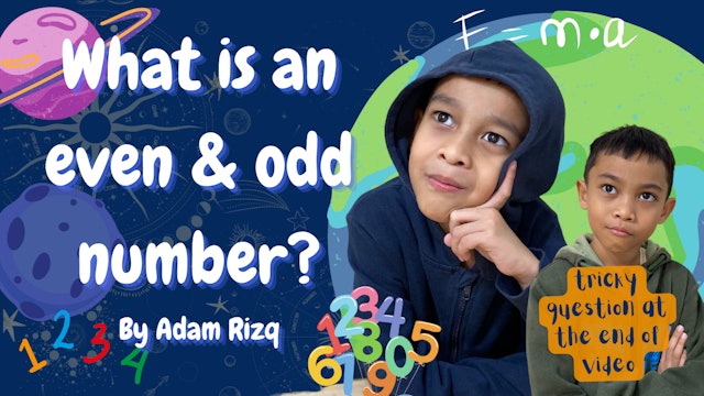 What Is An Even & Odd Number - WC2 | Happy Curious Adam