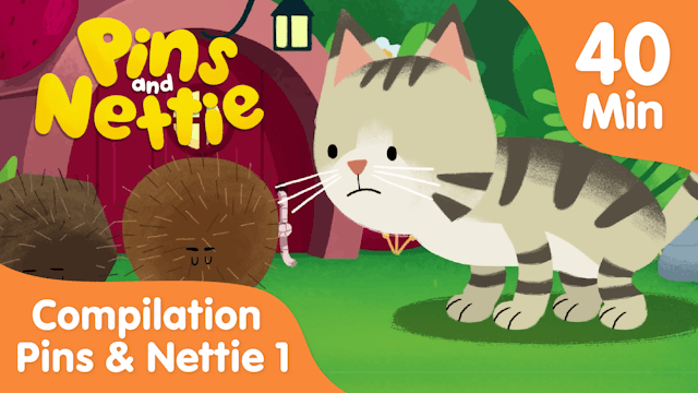 Pins & Nettie Compilation - Hedgies and the Kitty