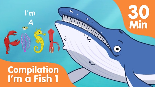 Learn About Sea Animals - Im a Fish Compilation