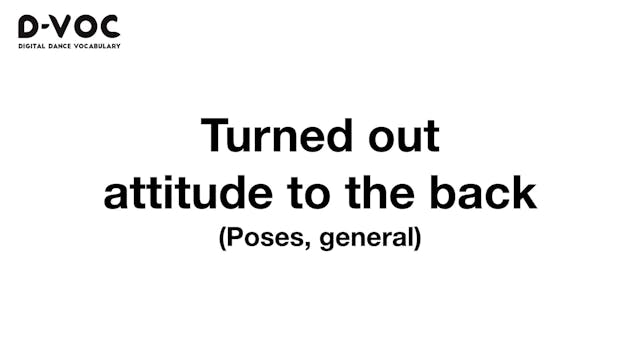 02 Poses general - Turned out attitud...