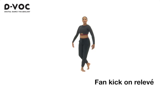 06 Kicks - Fan kick on relevé