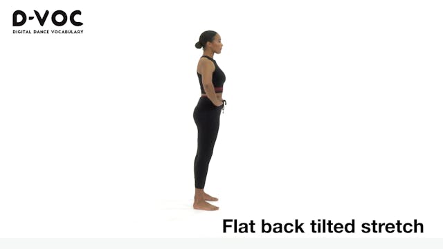 11 Stretches - Flat back tilted stretch