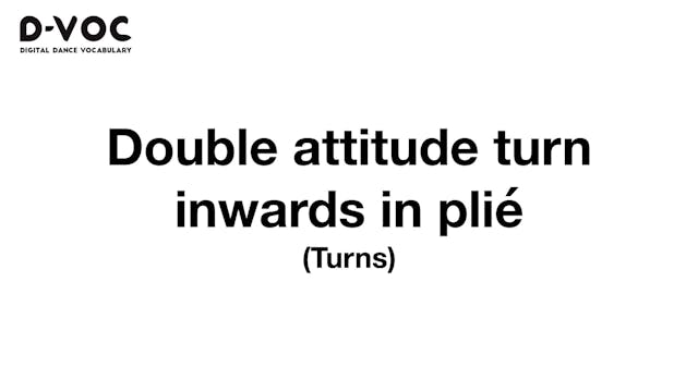 08 Turns - Double attitude turn inwar...