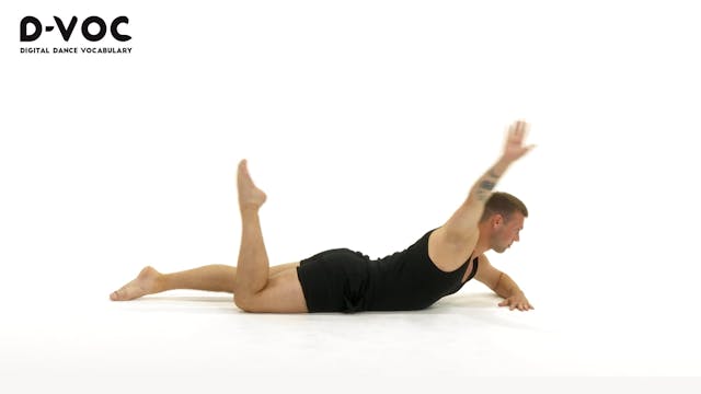 17 Stretches - VT