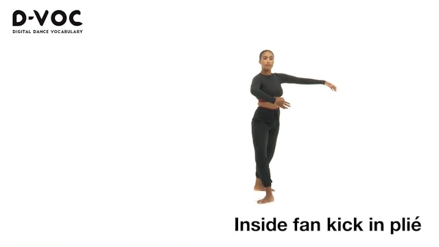 11 Kicks - Inside fan kick in plié