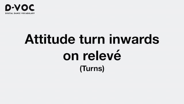 02 Turns - Attitude turn inwards on r...