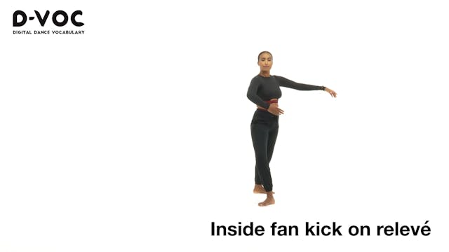 12 Kicks - Inside fan kick on relevé